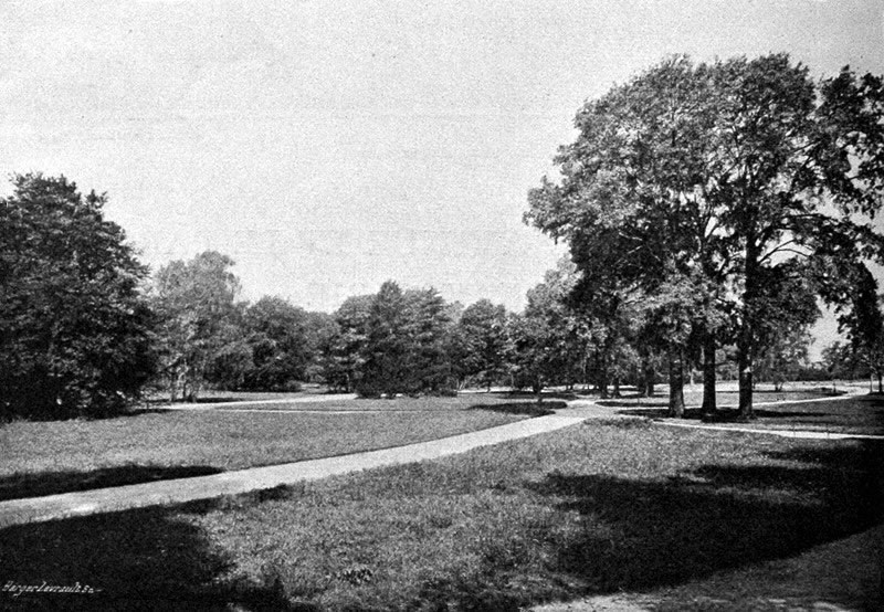 le parc Sainte-Marie avant l'exposition (Juillet 1908)